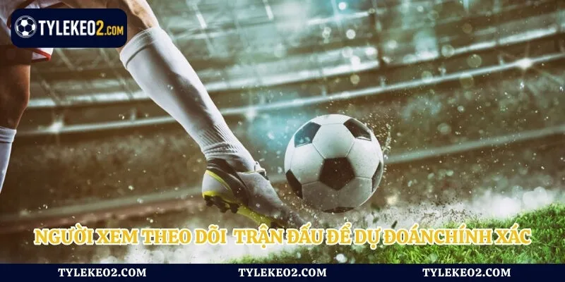 Người xem theo dõi trận đấu để dự đoán chính xác 