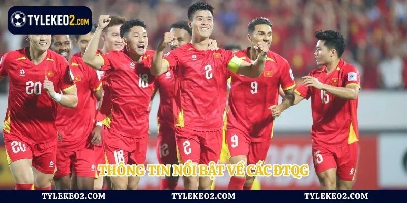 Thông tin nổi bật về các ĐTQG