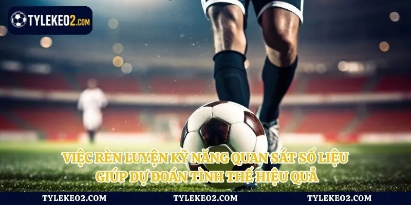 Việc rèn luyện kỹ năng quan sát số liệu giúp dự đoán tình thế hiệu quả